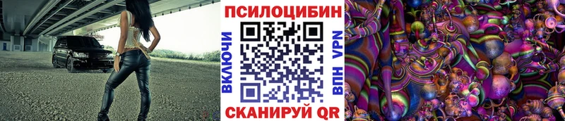 kraken как войти  Краснокаменск  Галлюциногенные грибы прущие грибы 