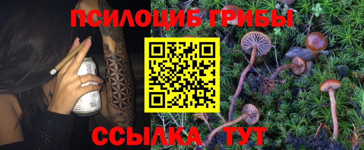 Псилоцибиновые грибы мицелий  Вход с VPN  Краснокаменск 